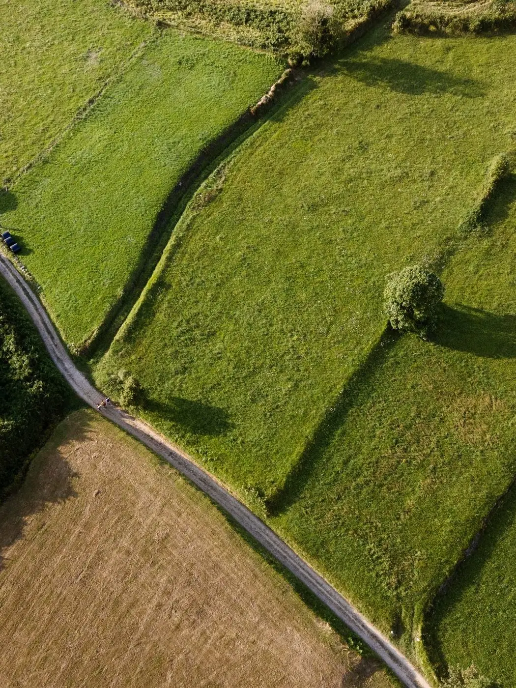 Entroncamento de estradas de terra entre áreas cultivadas, visto de cima