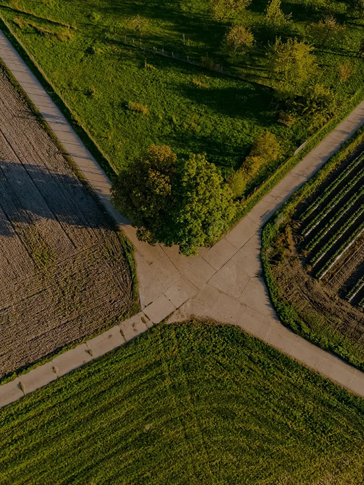 Vista aérea de talhões e divisas de propriedade rural