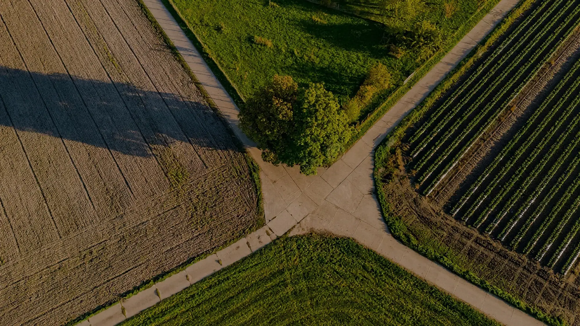 Vista aérea do entroncamento de estradas de terra entre talhões de uma propriedade rural